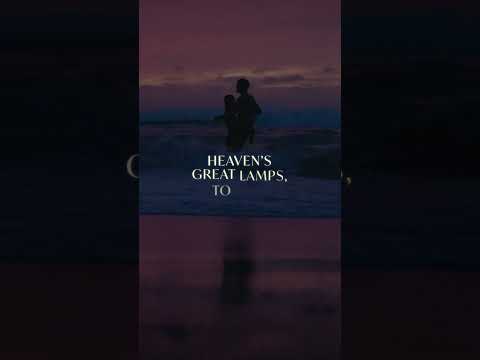 afbeelding Love and Loss