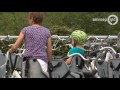 Dit is mijn Gelderland 11 juli 2017