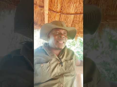 Omulongo W'obugagga - Sseviiri Omutabaazi wensi