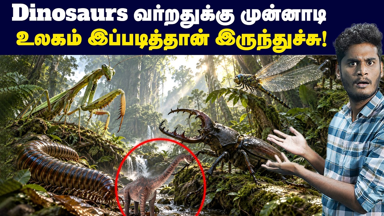 😱🤯மனிதனைவிட 3 மடங்கு பெரிய பூச்சி இனங்கள்!அதிர்ச்ச?