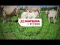 Matsuda Moment L Strong Calf Profitable Future