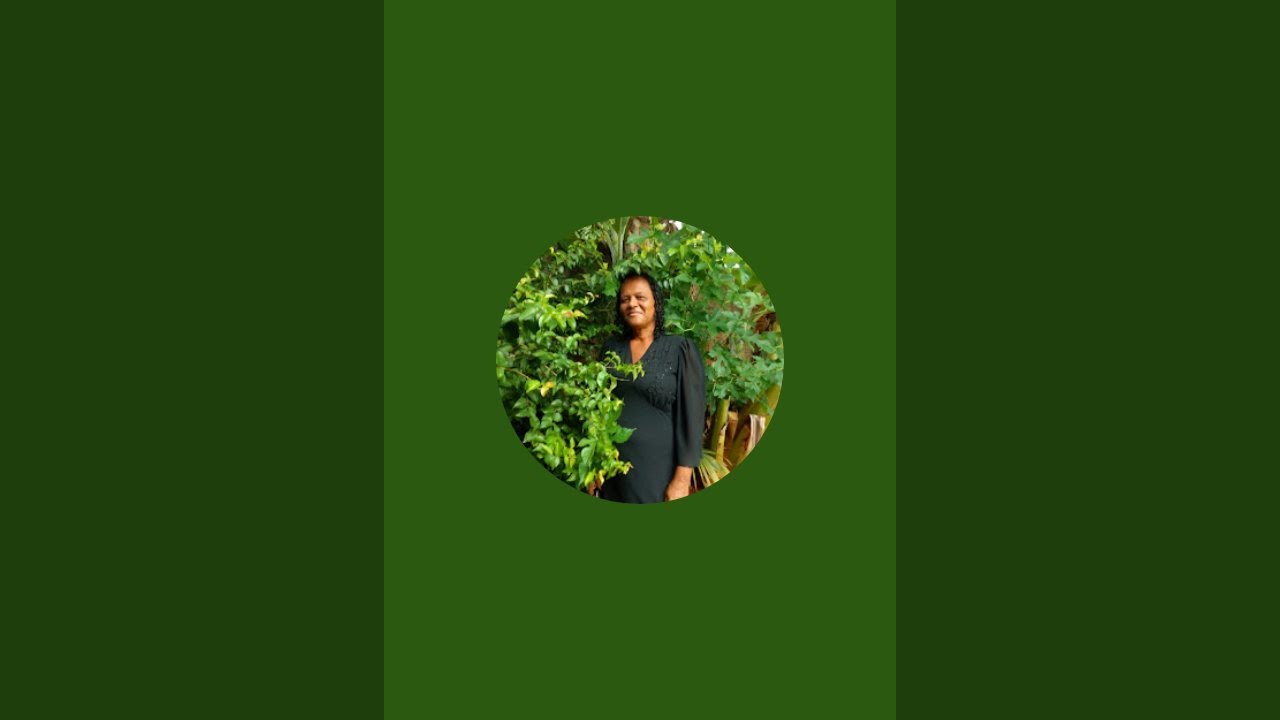 Missionaria lurdes está ao vivo!