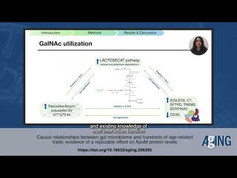 Gut Microbiome Links to Age-Related Traits and ApoM Protein