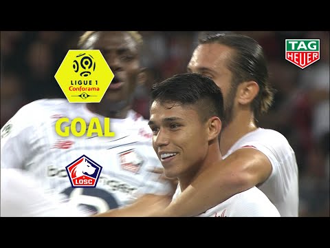 Goal Luiz ARAUJO (24') / OGC Nice - LOSC (1-1) (OGCN-LOSC) / 2019-20