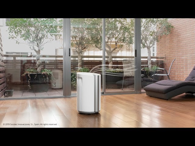 Cecotec Big Dry 9000 Professional Deshumidificador 4.5L video