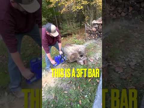 Cutting Locust with the Holzfforma G660.