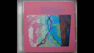 Jon Hassell - Possible Music  (track 03)