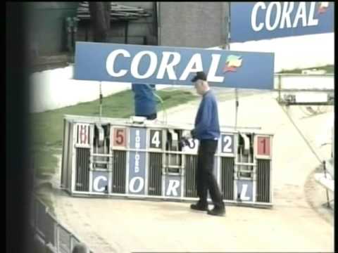 Fahrenheit Billy 1st Win Romford 20 5 2017