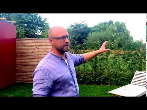 Gartengestaltung - Wie Sie in kleinen Gärten gekonnt Sichtschutz einsetzen