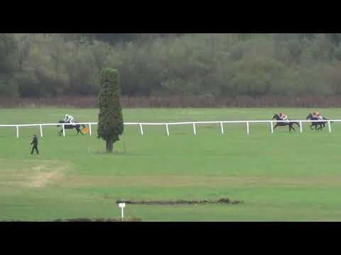 NE, 1. 9. 2018, 5. dostih - HANDICAP Přátel Dostihového Závodiště Netolice