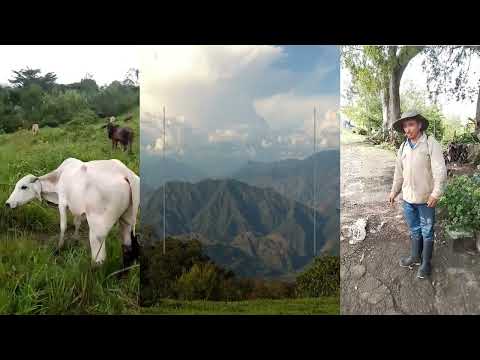 Video de Enfoques Valparaíso Antioquia