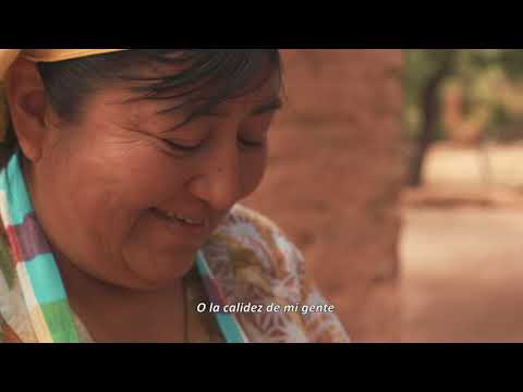 Turistas de todo el país podrán visitar Salta a partir del 15 de diciembre