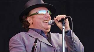 Hungry For Your Love, Van Morrison Live Dublin, Ireland 12 03 94