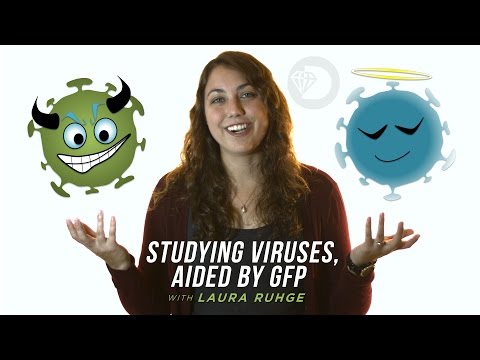 Laura Ruhge | Studying Viruses, Aided by GFP | Shot by Obscure Diamond