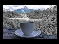 Story Wa Kopi Pagi Hari Awali Pagimu Dengan Secangkir Kopi