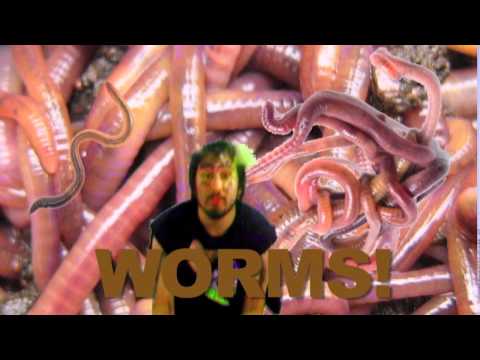 WORMS - Fabulous Downey Brothers