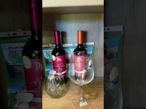 Viñedos de Pichi Huinca, La Pampa