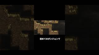 不正解こそ正解　#レトロゲーム #finalfantasy #ff1 #retrogaming #ファイナルファンタジー #Apple #fc #ファミコン