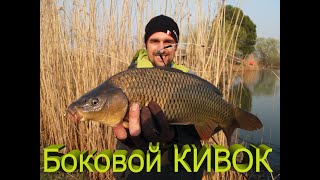 Ловля карася на кашники
