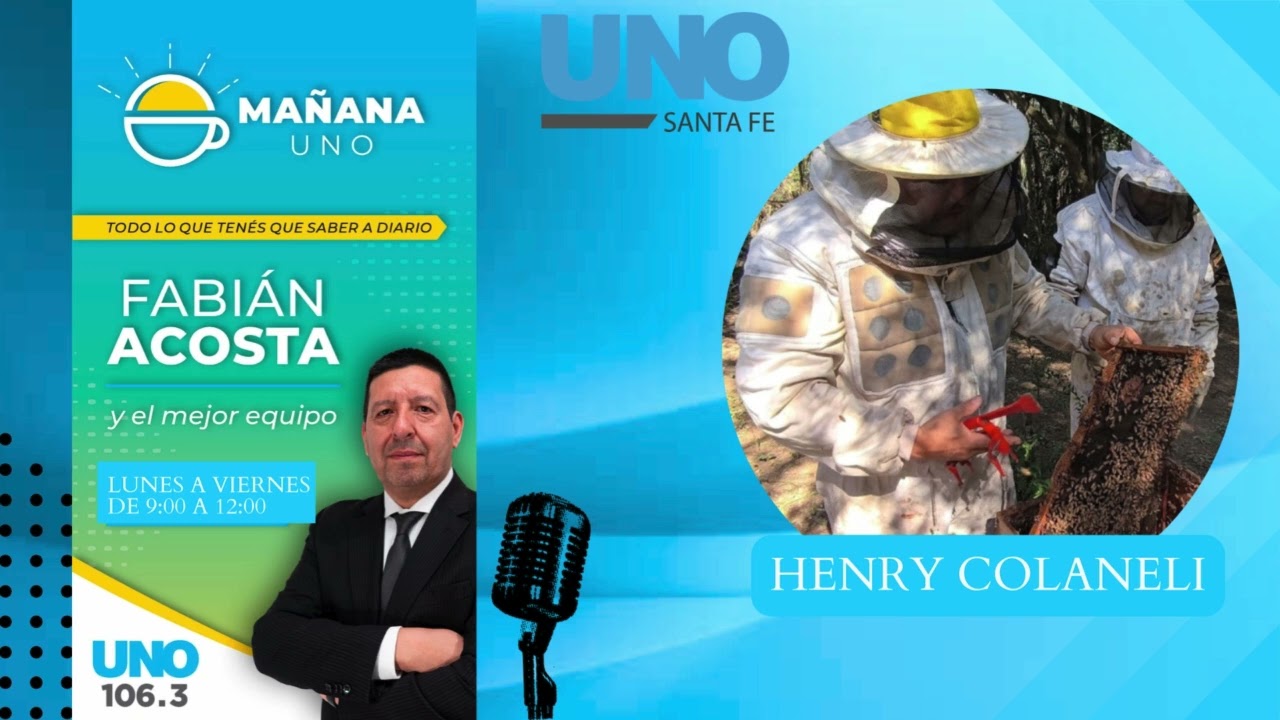 El Senasa se pone en alerta por la presencia un escarabajo que afecta la producción apícola