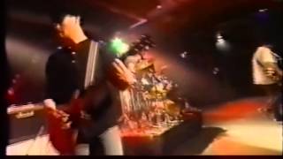 China Drum - Fall Into Place (Live)