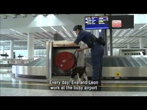 Police Report - 2013-07-27