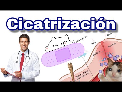 CICATRIZACIÓN: RESUMEN