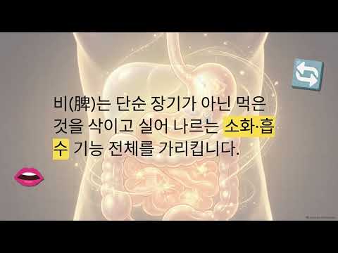 팔다리는 마르는데 배만 볼록한 아이, 단순 체형 문제가 아닙니다