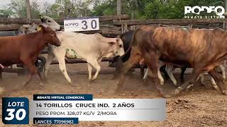 LOTE 30