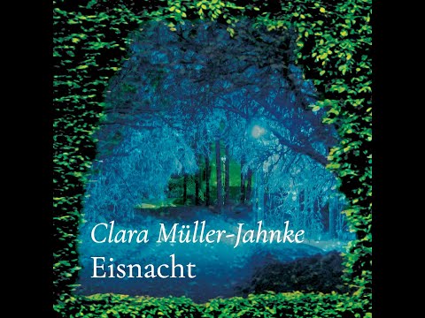 «Eisnacht» (Clara Müller-Jahnke) – vorgetragen von Tom von Arx