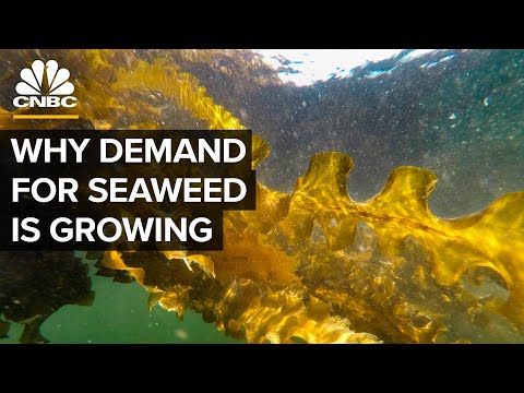 , title : 'Why Demand For Seaweed Is About To Boom'