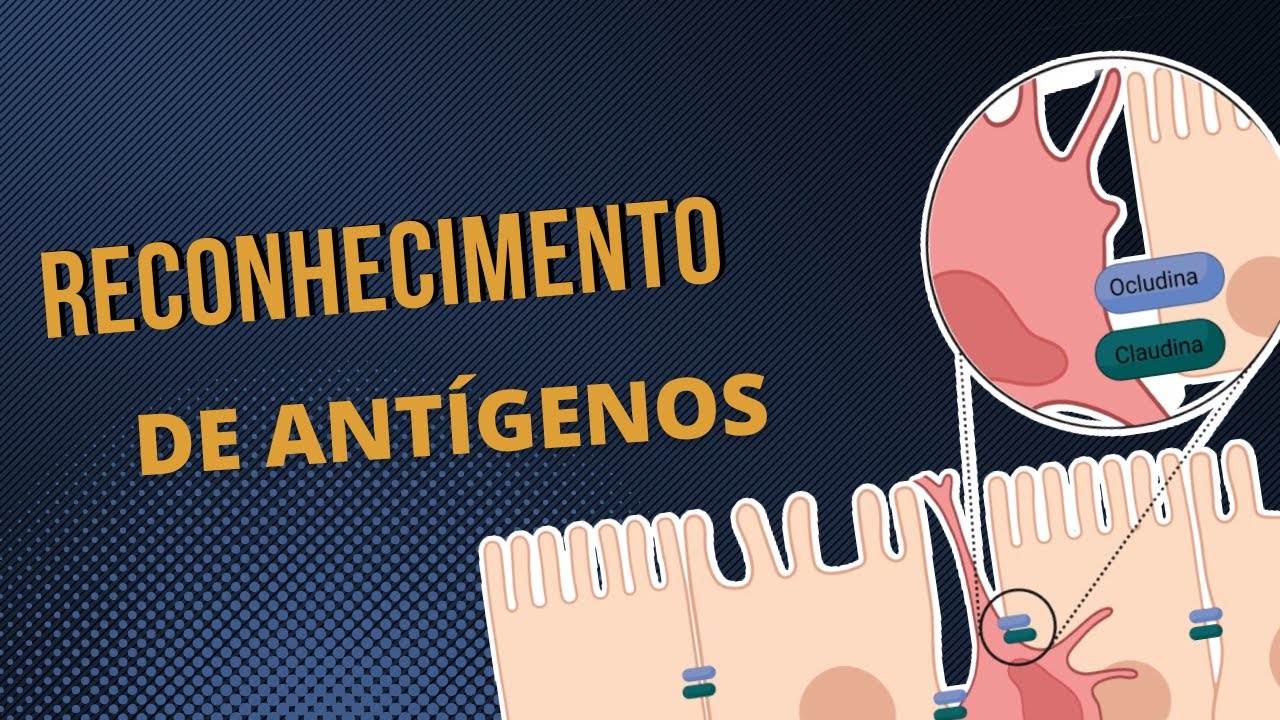 RECONHECIMENTO DE ANTÍGENOS | CÉLULA DENDRITICA | PAMP e PRRs | ASPECTOS GERAIS | CÉLULA APC