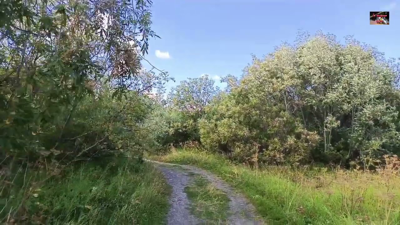 Воркута. 16.08.26. День прогулок.