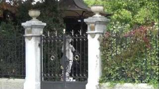 Switzerland: Schizophrenic-Paranoia (ethnophobia)