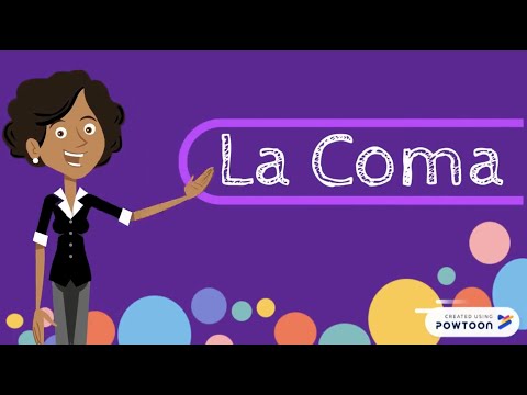 TOMi.digital - LA COMA VOCATIVA Y EXPLICATIVA