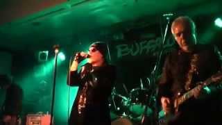 The Prophet-Buffalo (Revisited) live at the Bald Faced Stag 27-11-2015
