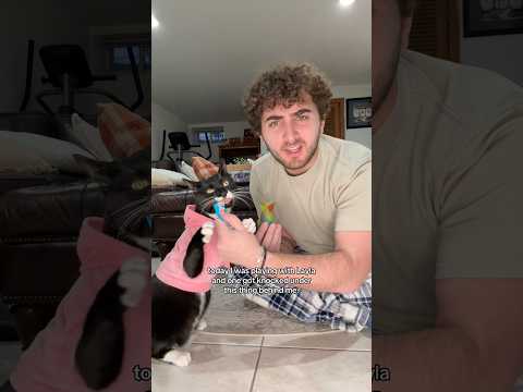 Every cat owner NEEDS to see this…