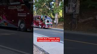 Download lagu KETIKA BUS TUNGGAL JAYA 'ARMAGEDDON' MELINTAS #telolet #basuri #bus #tunggaljaya #kuningan mp3