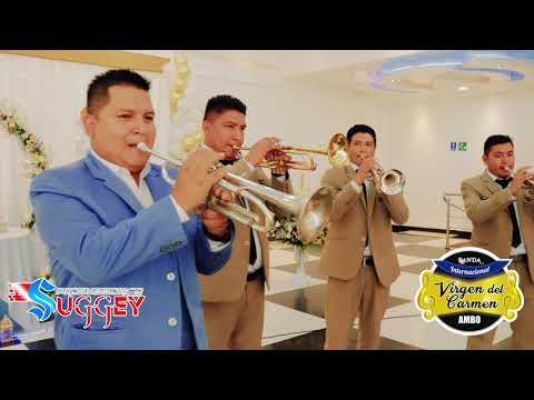 ✅Banda Virgen Del Carmen - Ambo🎵🎷🎺Mix Huaynos Huanuqueños