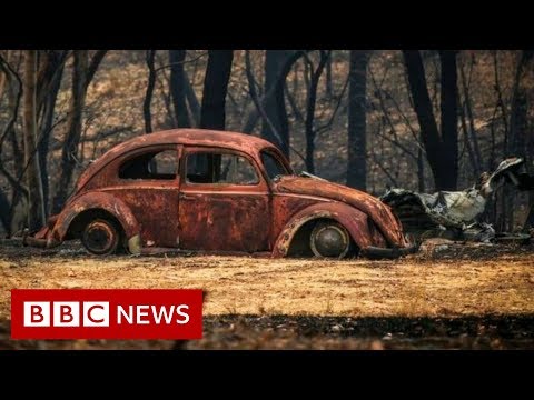 オーストラリアで火災。オーストラリアの全州で気温が40度に達し、火災は悪化している - BBC ニュース (Australia fires: Fires worsen as every Australian state hits 40C - BBC News)