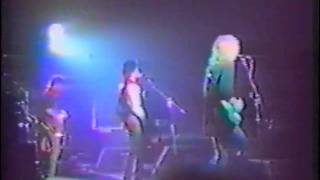 track14, born in the u s a , flamin groovies ,italy 87