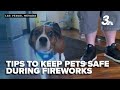 The Animal Foundation Offers Tips To Keep Dogs Safe And Sound During Fireworks