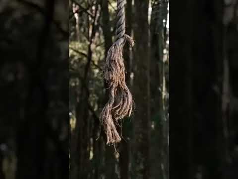 Ponte para terabitia😢