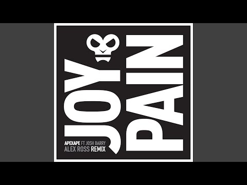 Joy & Pain (feat. Josh Barry) (Alex Ross Remix)