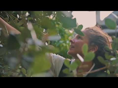 Conocemos a Lucie y sus Caballos de Luz