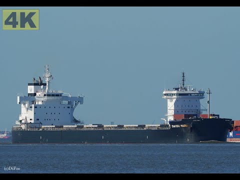 OWUSU MARU - Shipspotting Germany 🇩🇪 IMO 9888479 - River Elbe near City Otterndorf - 4K VIDEO