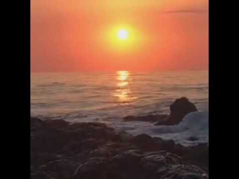 فيروز       غالي الدهب /ردي منديلك /بقطفلك بس/أنا و سهرانة /الأوضة المنسيه