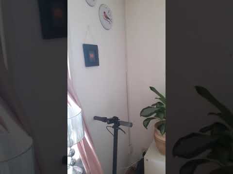 24 kvm biskopsgårde