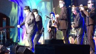 Drivin&#39; Wheel - Blues Brothers Band