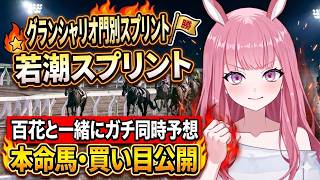 【グランシャリオ門別＆若潮スプリント2026】荒れるダブル短距離重賞を制したい【競馬予想Vtuber/美咲百花】